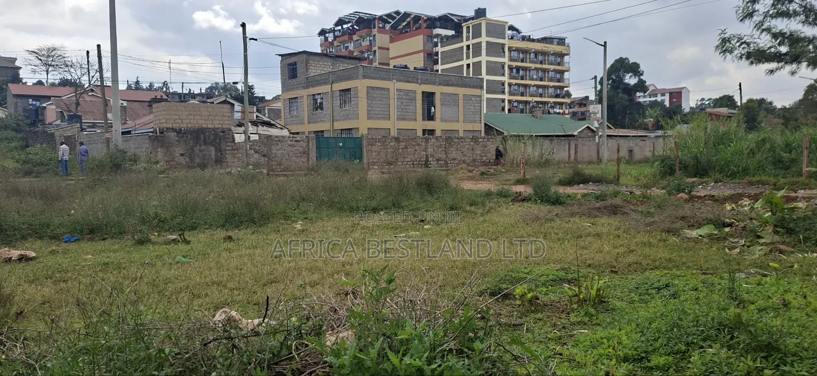100×100 Plot for Sale – Kikuyu Thogoto