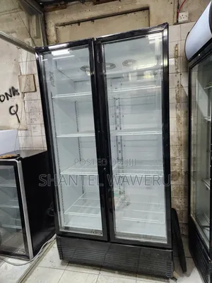 Black 2 Door Chiller 1000litres