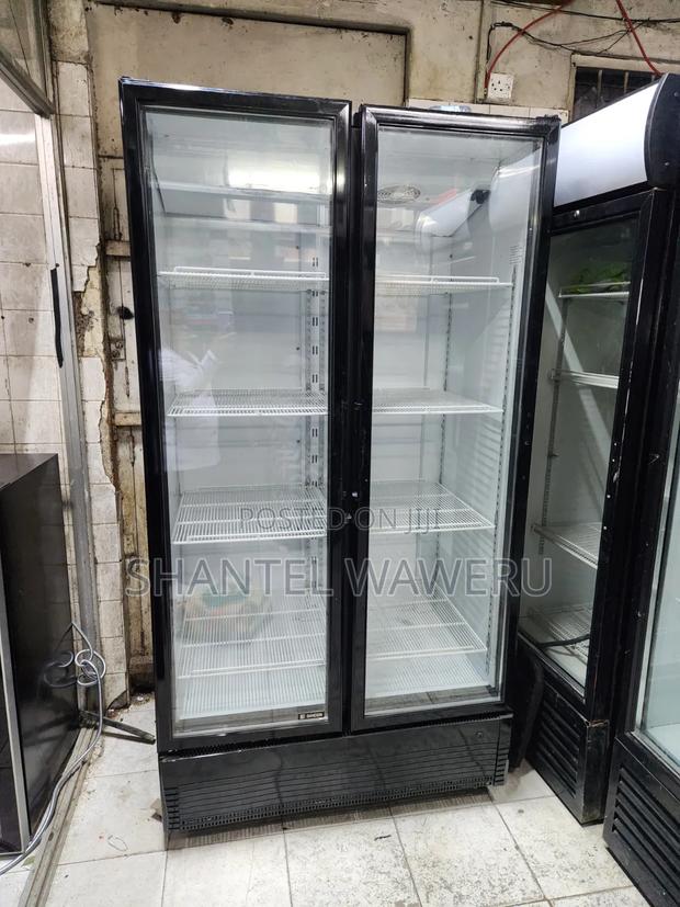 Best Commercial Display Fridge