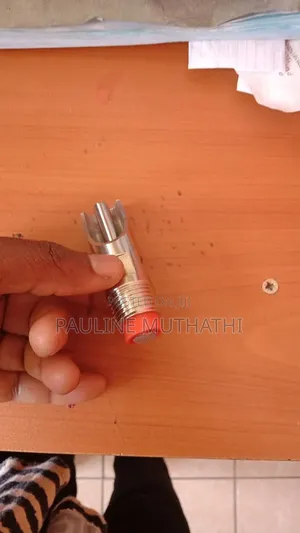 Automatic Pig Nipple Drinkers