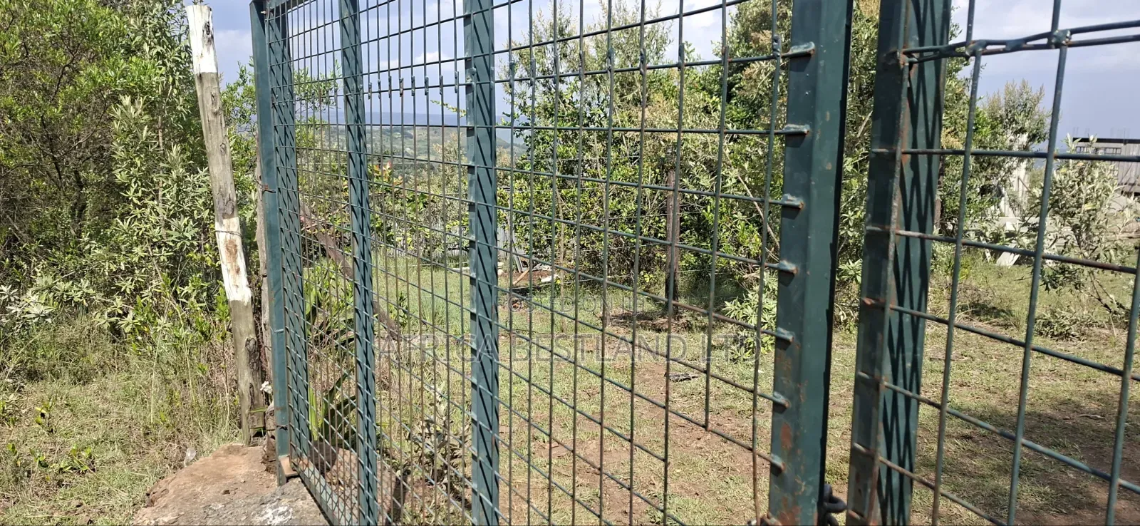 21 Acres Prime Land for Sale – Ragemore, Gilgil, Nakuru County