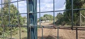 21 Acres Prime Land for Sale – Ragemore, Gilgil, Nakuru County
