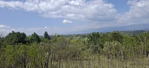 21 Acres Prime Land for Sale – Ragemore, Gilgil, Nakuru County