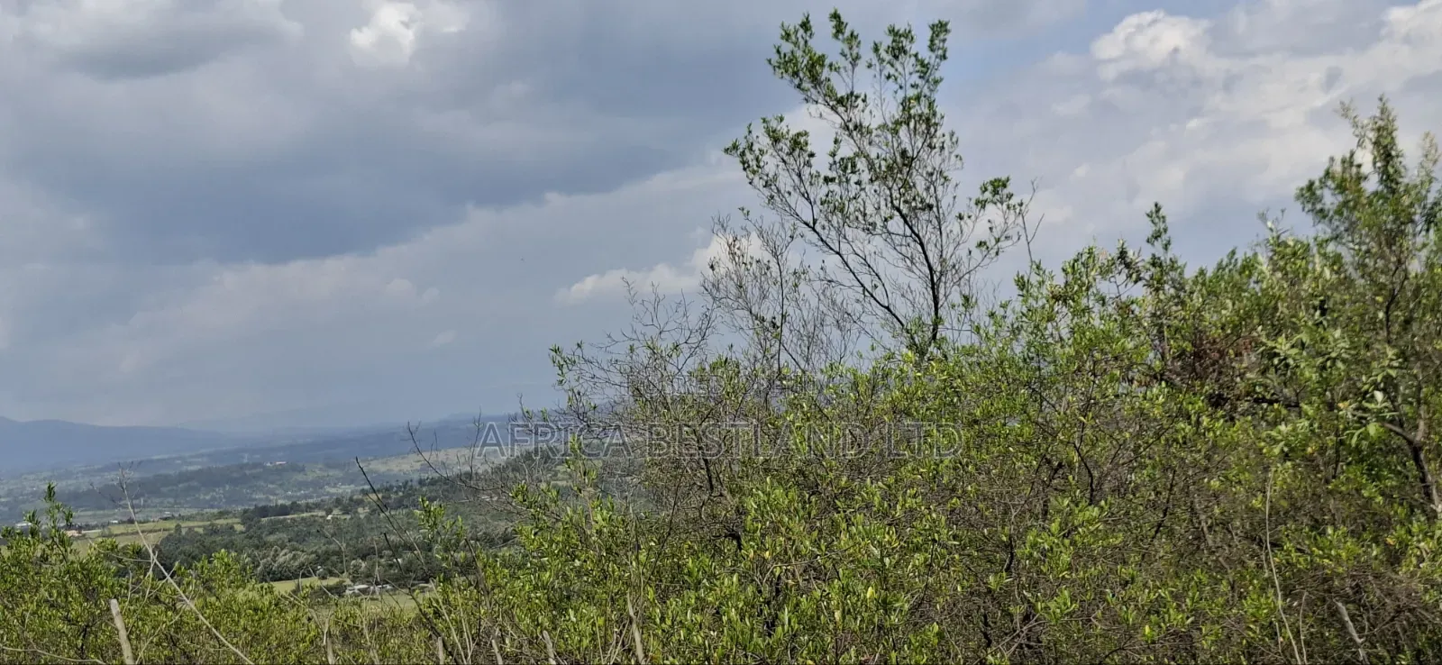 21 Acres Prime Land for Sale – Ragemore, Gilgil, Nakuru County