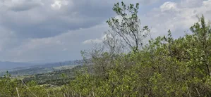 21 Acres Prime Land for Sale – Ragemore, Gilgil, Nakuru County