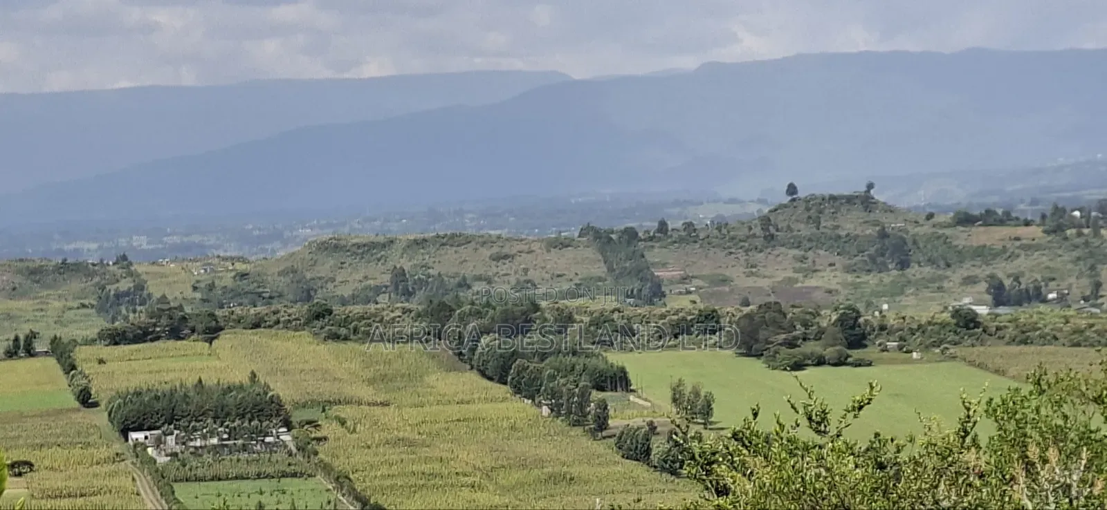 21 Acres Prime Land for Sale – Ragemore, Gilgil, Nakuru County
