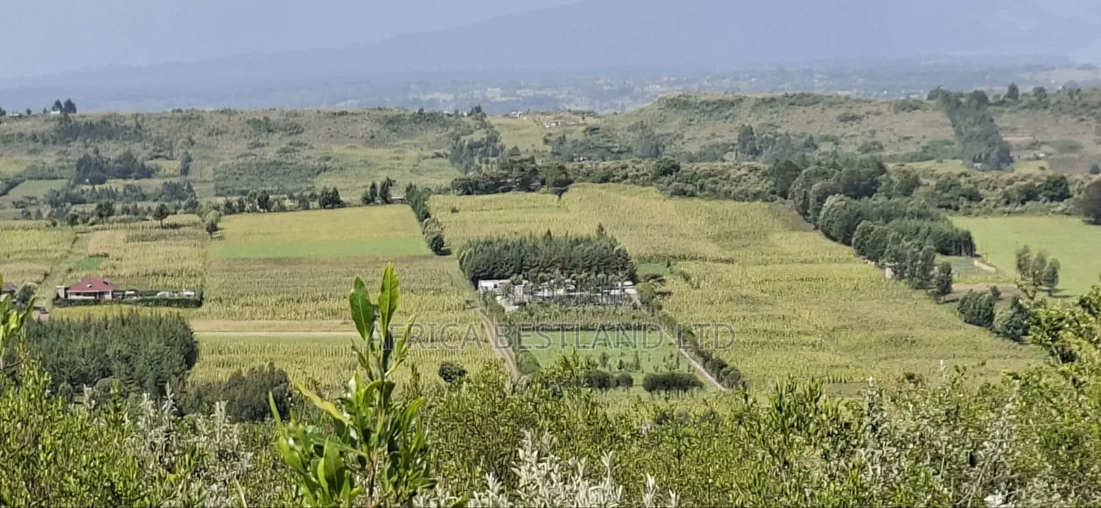21 Acres Prime Land for Sale – Ragemore, Gilgil, Nakuru County