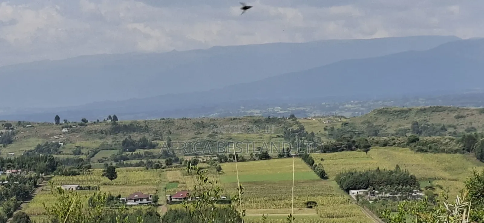 21 Acres Prime Land for Sale – Ragemore, Gilgil, Nakuru County