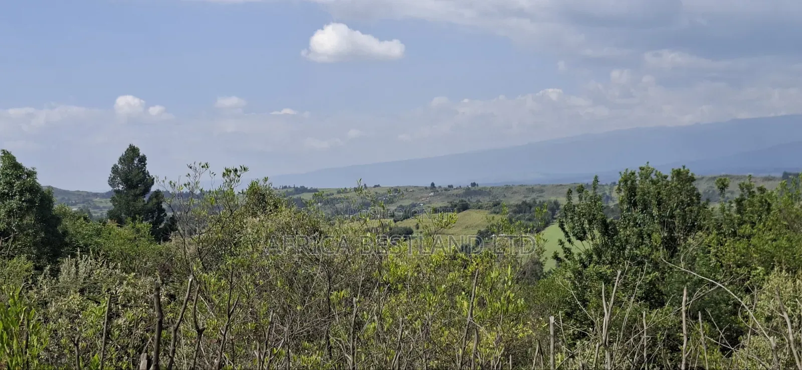 21 Acres Prime Land for Sale – Ragemore, Gilgil, Nakuru County