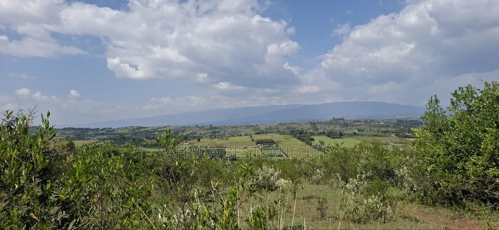 21 Acres Prime Land for Sale – Ragemore, Gilgil, Nakuru County
