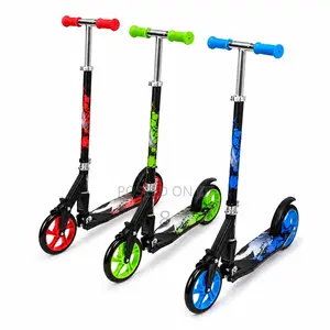 Kids 2 Wheel Large Wheel Kick Scooter