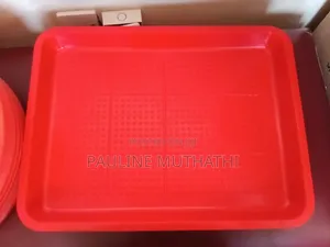 Chick Feeder Trays -Rectangular Shape