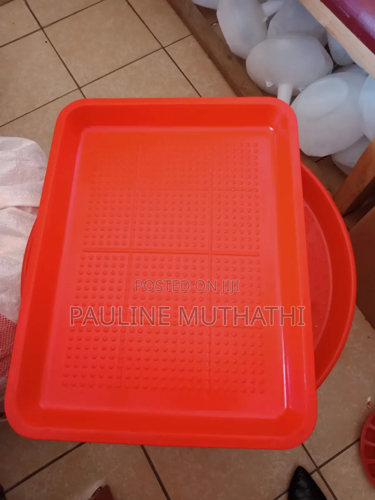 Chick Feeder Trays -Rectangular Shape