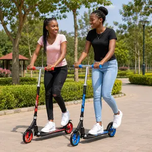 Adjustable 2 Wheel Kick Scooter With Large Wheels