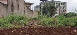50×100 Residential Plot for Sale – Thogoto, Kikuyu