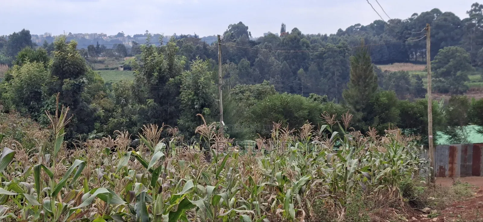 50×100 Residential Plot for Sale – Thogoto, Kikuyu