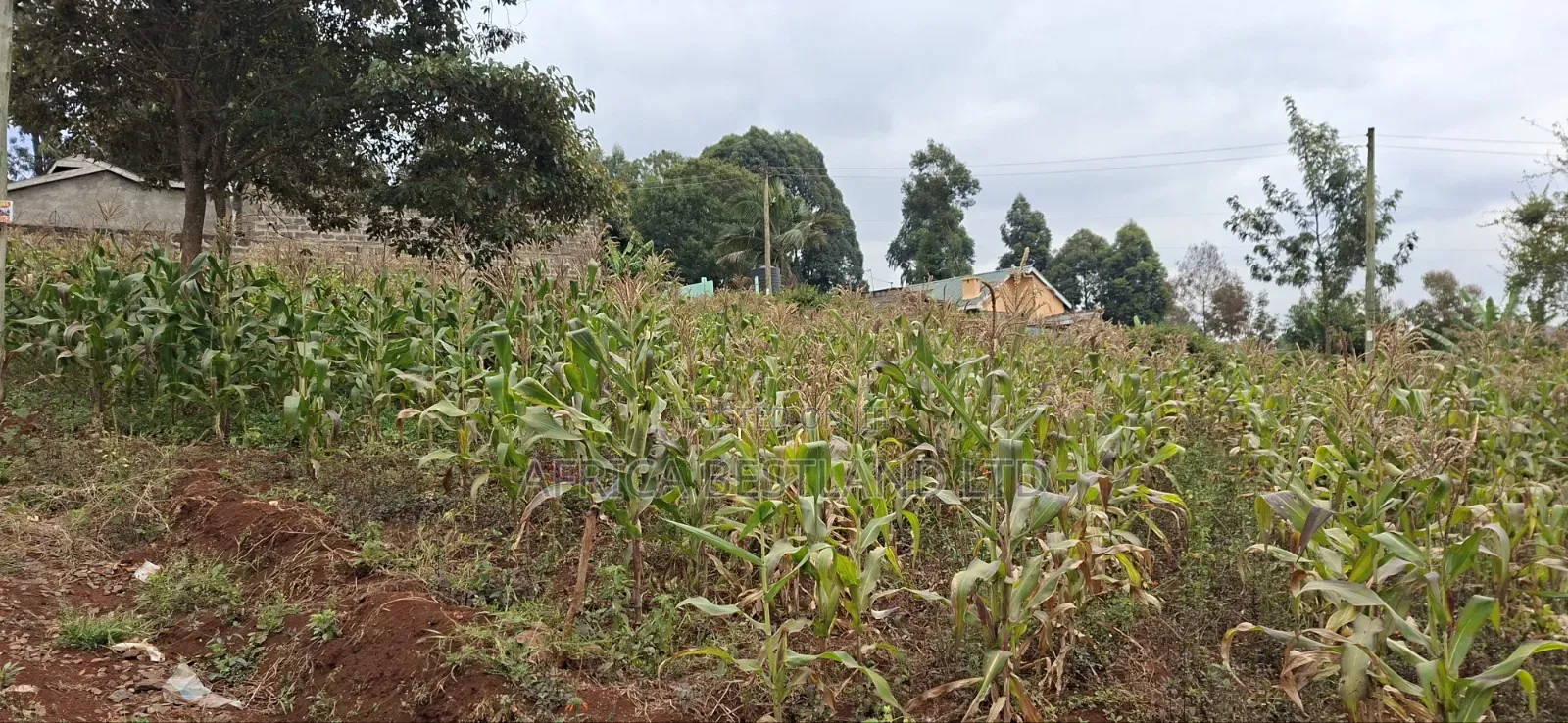 50×100 Residential Plot for Sale – Thogoto, Kikuyu