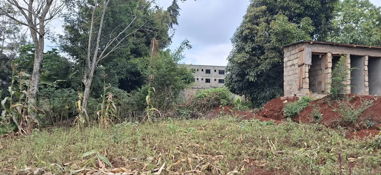 50×100 Residential Plot for Sale – Thogoto, Kikuyu