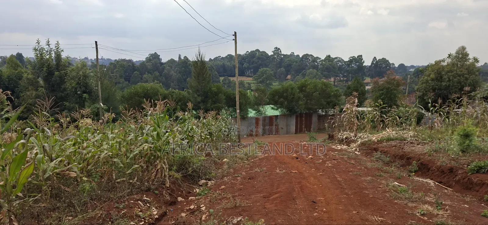50×100 Residential Plot for Sale – Thogoto, Kikuyu