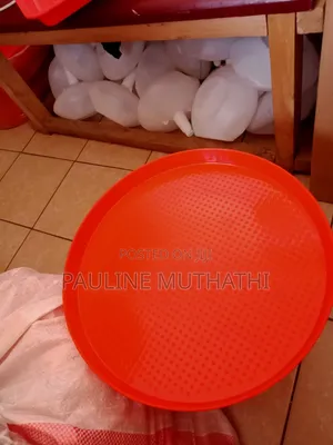 Chick Feeder Trays -Round