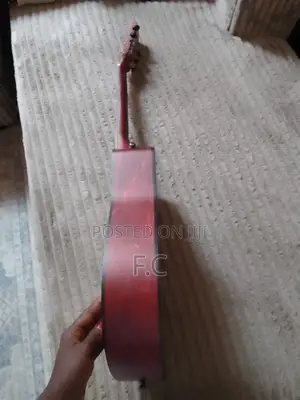 Acoustic Guitar