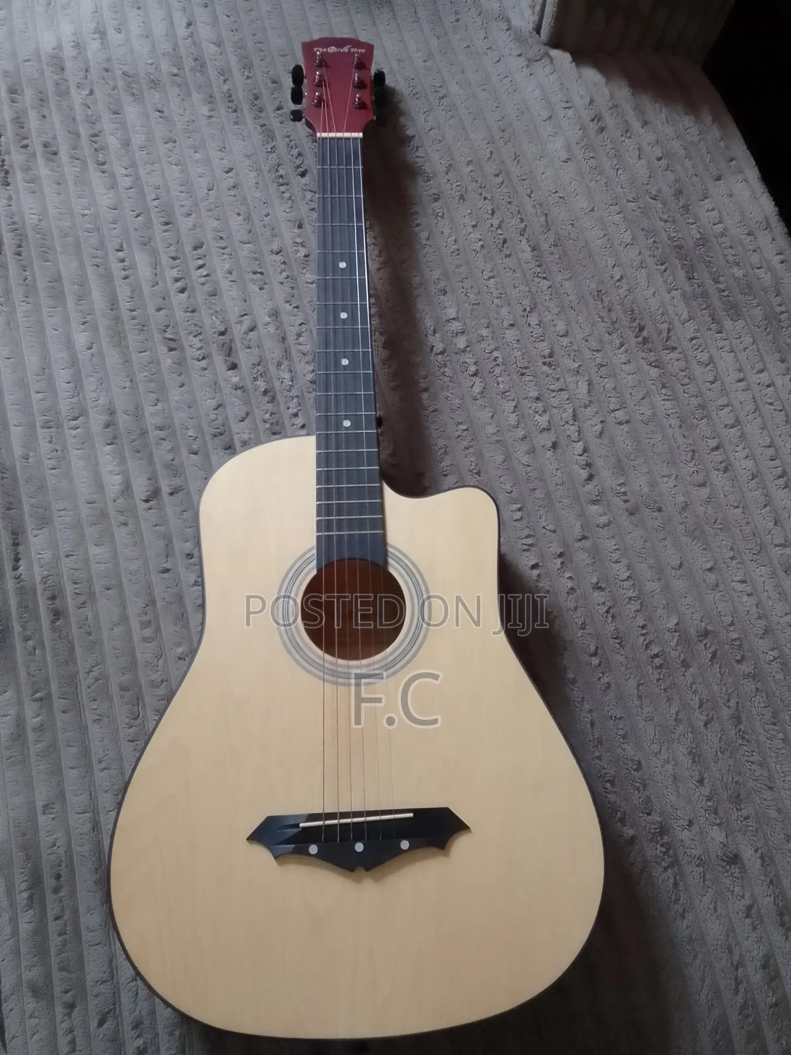 Acoustic Guitar