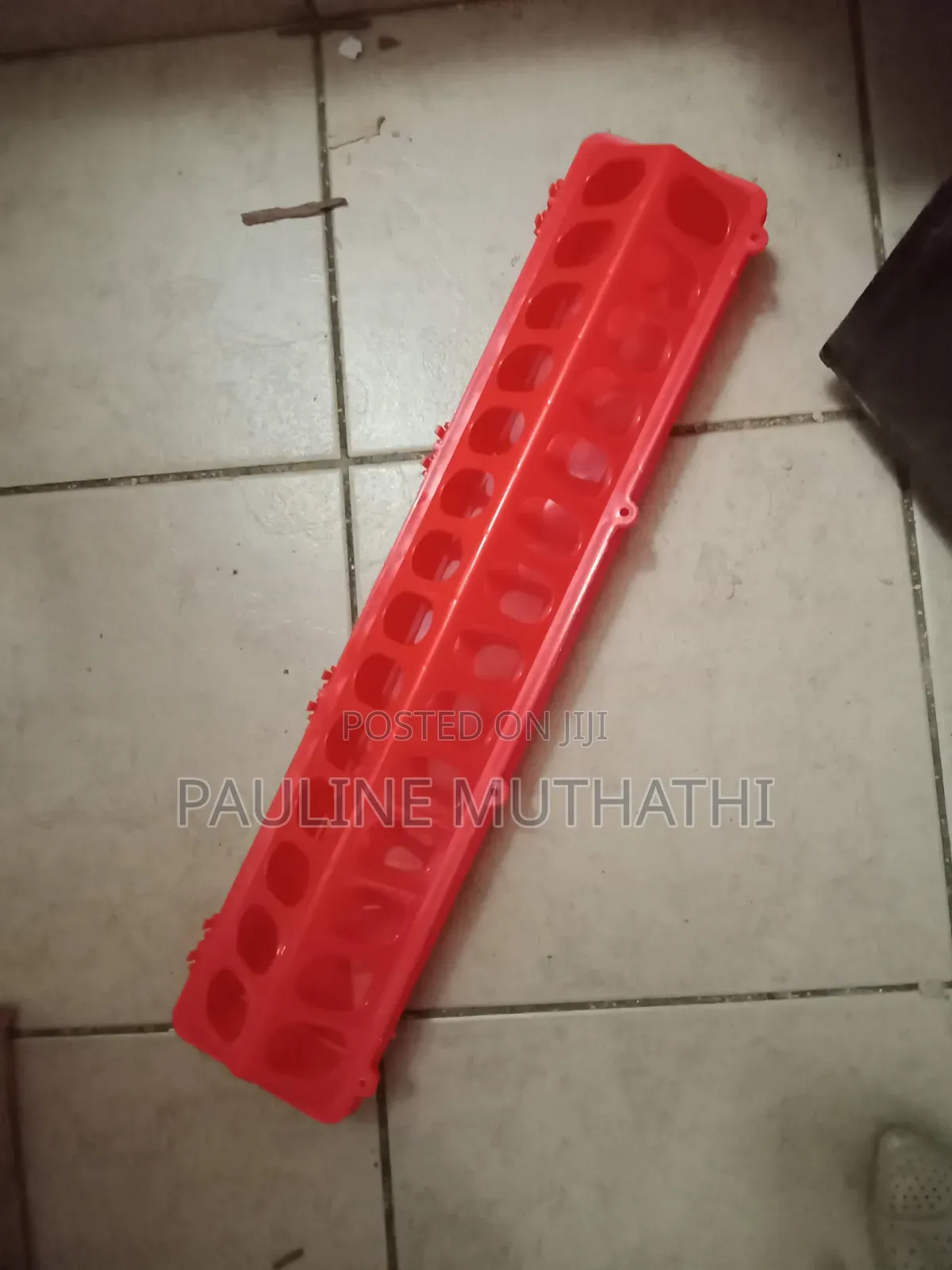 Linear Chick Feeder