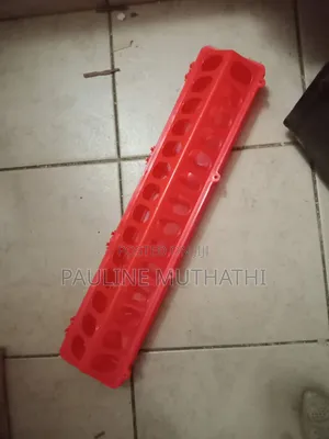 Linear Chick Feeder