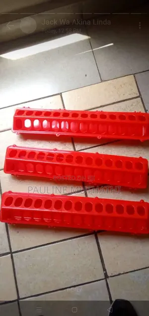 Linear Chick Feeder