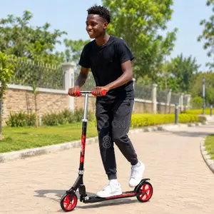 Portable Folding 2 Wheel Kick Scooter for Kids