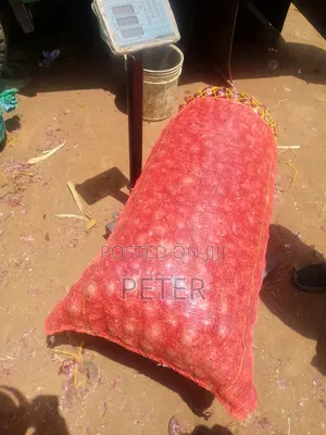 Onions Kitungu Fresh Yenye Imekauka