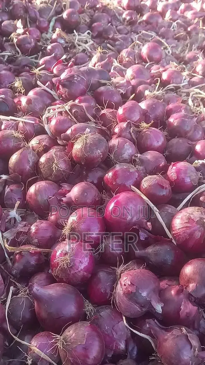 Onions Kitungu Fresh Yenye Imekauka
