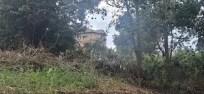 50×100 Residential Plot for Sale – Ngando, Dagoreti