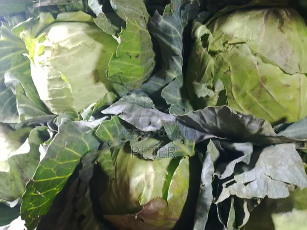 Cabbage Fresh Kwa Bei Poa