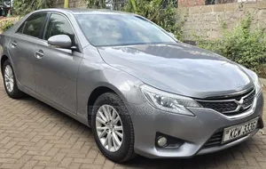 Toyota Mark X 2013 Gray