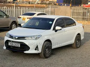 Toyota Axio 2019 White