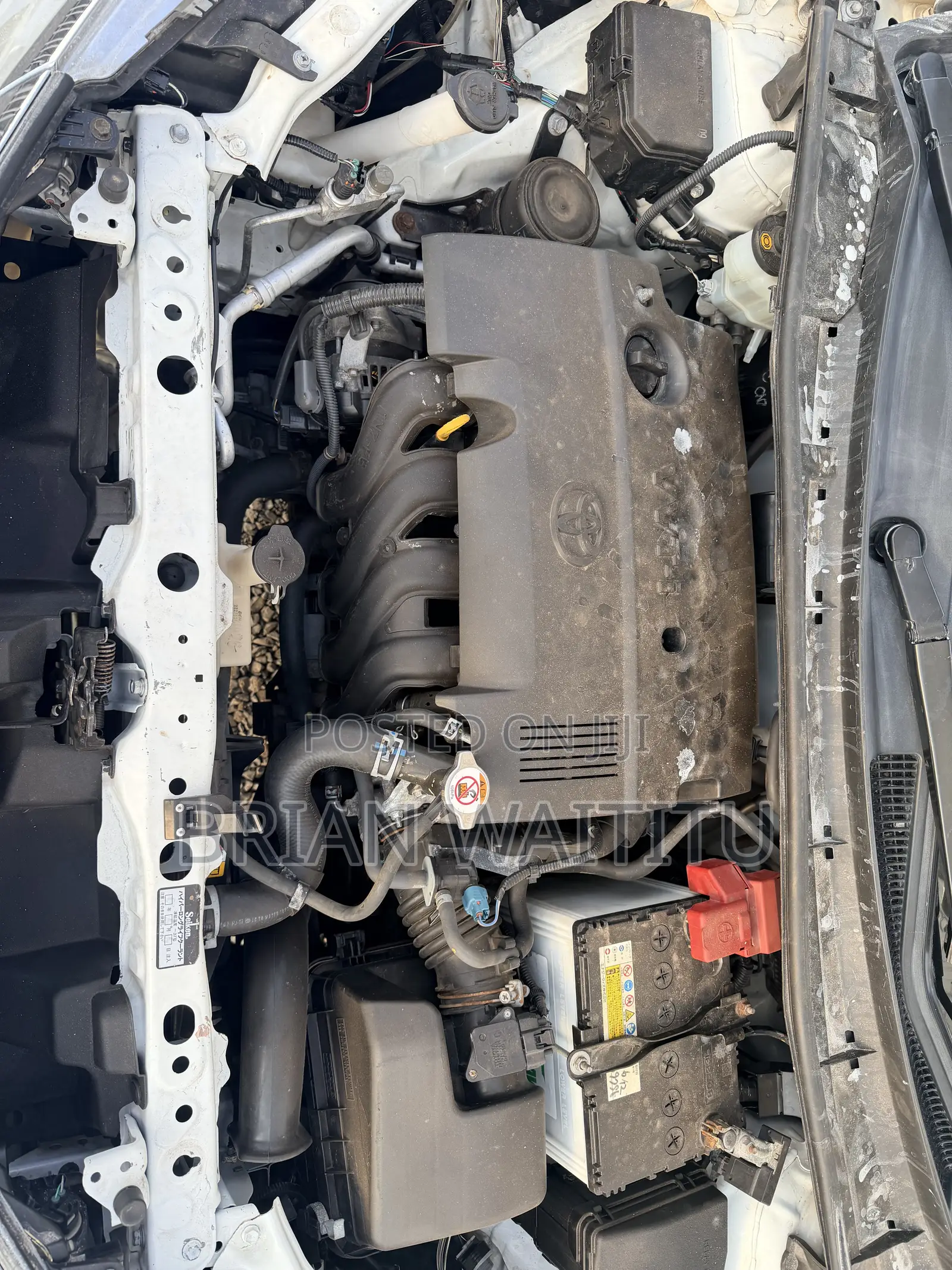 Toyota Axio 2019 White