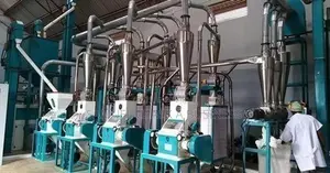 Maize Milling Business Plan