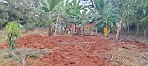 Prime Quarter Acre for Sale in Kirinyaga Ngucui Kimbimbi