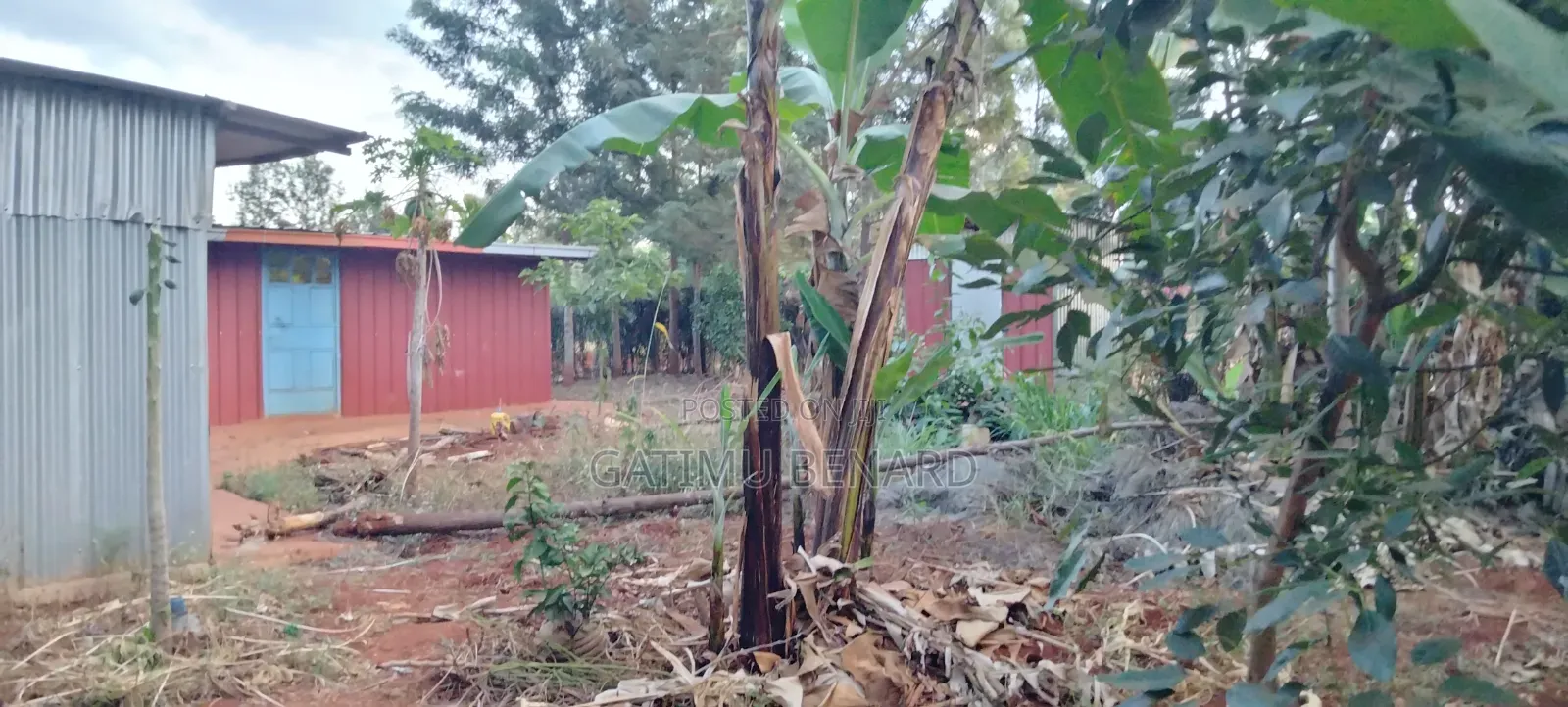 Prime Quarter Acre for Sale in Kirinyaga Ngucui Kimbimbi