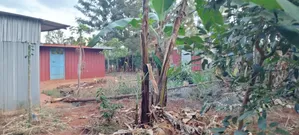 Prime Quarter Acre for Sale in Kirinyaga Ngucui Kimbimbi
