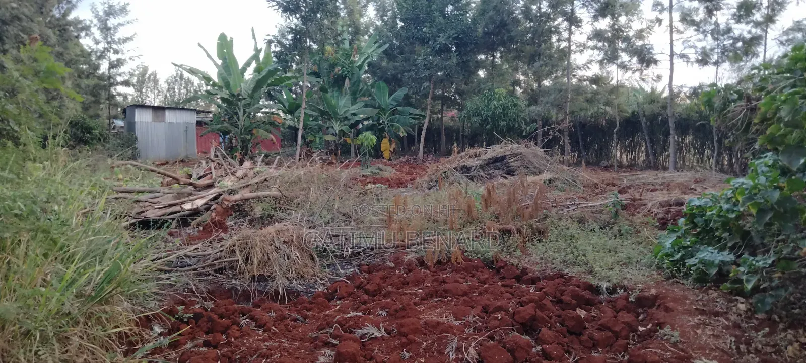Prime Quarter Acre for Sale in Kirinyaga Ngucui Kimbimbi