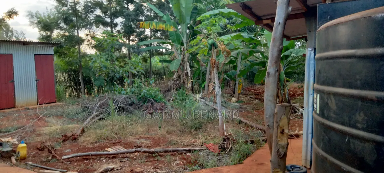 Prime Quarter Acre for Sale in Kirinyaga Ngucui Kimbimbi