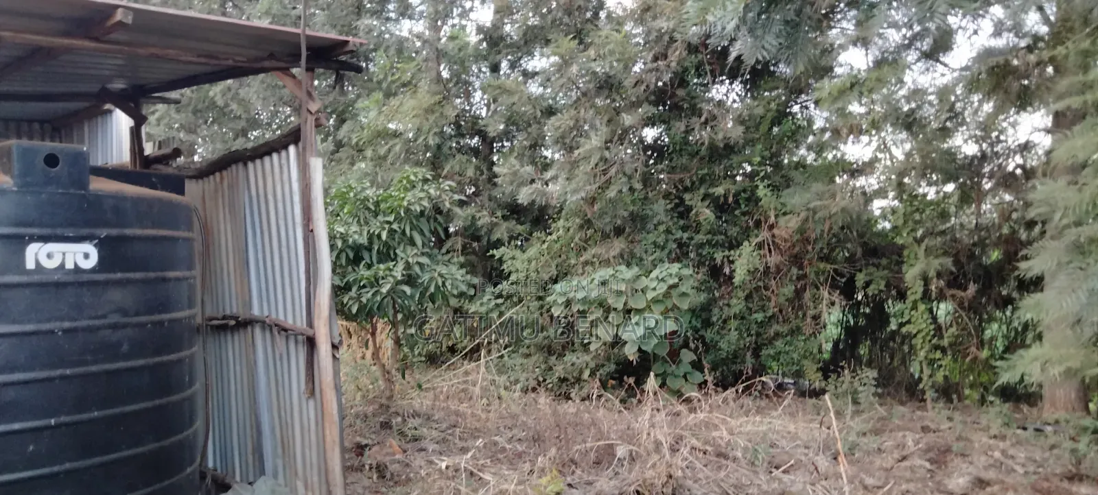 Prime Quarter Acre for Sale in Kirinyaga Ngucui Kimbimbi