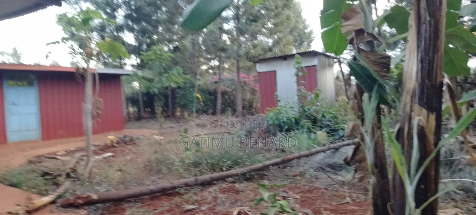 Prime Quarter Acre for Sale in Kirinyaga Ngucui Kimbimbi