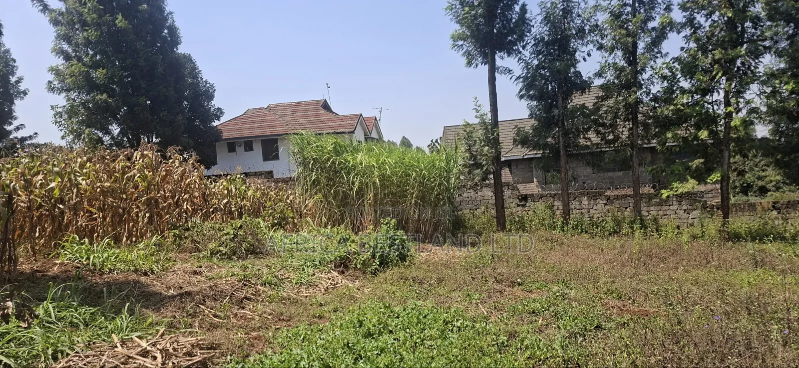 1⁄2 Acre Land for Sale – Kikuyu Thamanda, Muguga |