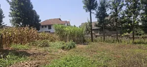 1⁄2 Acre Land for Sale – Kikuyu Thamanda, Muguga |