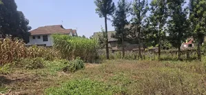 1⁄2 Acre Land for Sale – Kikuyu Thamanda, Muguga |