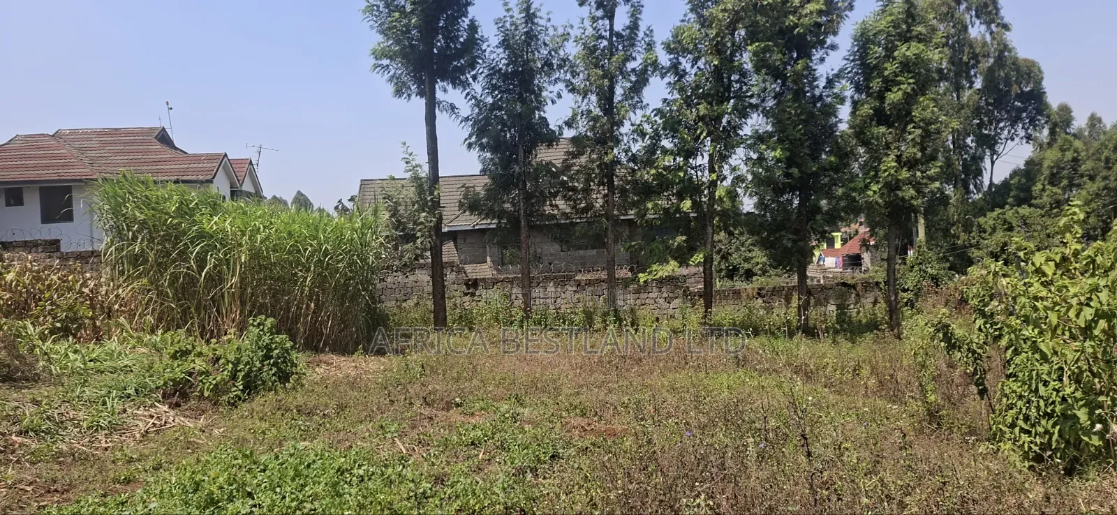 1⁄2 Acre Land for Sale – Kikuyu Thamanda, Muguga |