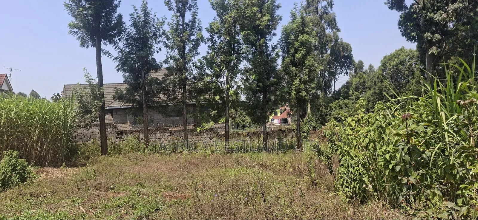 1⁄2 Acre Land for Sale – Kikuyu Thamanda, Muguga |
